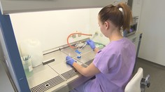 Britská mutace masivně zasáhla v ČR první okresy. Má ji třetina testovaných