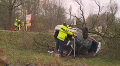 Čeští policisté bourali v Německu! Naháněli podezřelého, přerazili strom