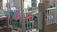 Pes ukousl holčičce ucho, útočil i na krk! Děda ho rovnou utratil