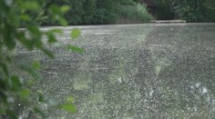 Kvalita vody v přírodních koupalištích klesá. Na desítkách platí zákaz
