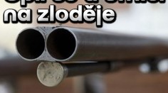 Opil se a střílel na zloděje. Byla to jeho vlastní kočka