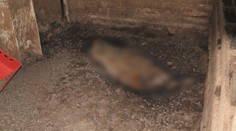 Zemědělec měl utýrat desítky zvířat. Hrozí mu až šest let vězení