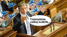 Bém vedl ve Sněmovně kurz AUTOEROTIKY! Z modrého kolibříka si dělá legraci celé Česko