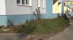 VIDEO: Tady vyhodila matka batole ze druhého patra!