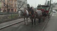 Tradiční jízdy v kočárech čeká změna. Karlovy Vary pro ně mění podmínky
