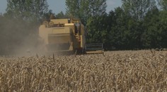 Investice do zemědělské půdy: Nemusíte nic znát a něco vám to hodí, říká makléř