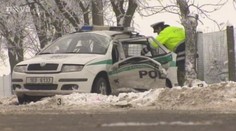 Policisté honili piráta silnic! Napálili s autem do stromu