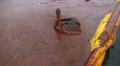 Od výbuchu Deepwater Horizon uplynulo už 15 let. Tragédie tehdy otřásla světem