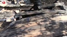 VIDEO: Bezdomovec uhořel při požáru v zahrádkářské kolonii
