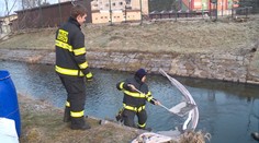 Z továrny na Sokolovsku unikla zapáchající látka. Lidé zvrací