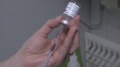 Skvělá zpráva! Vakcíny fungují proti mutacím koronaviru, tvrdí WHO