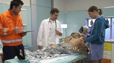 Co nás čeká v Ordinaci? Poučení o termofólii