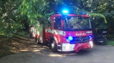 Znečištěný rybník v Praze: Ve vodě byly mrtvé ryby, na místo vyjeli hasiči