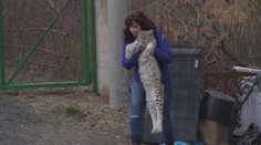 Chovateli z Radhoště zabavili zubožená vzácná zvířata. Je podezřelý z týrání