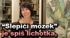 "Slepičí mozek" je spíš lichotka, zjistili vědci