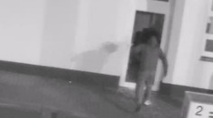 Bleskový zásah ostravské policie. Jen několik minut po krádeži lupiče dopadla