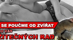 V sexu se poučme od zvířat. Máme pro vás 10 užitečných rad