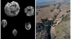 Tajemství pravěké diety: Co bylo v jídelníčku našich předků?