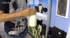 Mléko z automatů by se mělo převařit. Čechům je to ale jedno