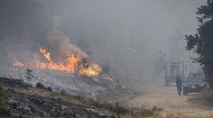 Hrůzný nález v Řecku. Při hašení požárů v lese našli 18 mrtvých lidí