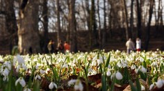 Měsíční výhled: Jaro už klepe na dveře. Teploty budou nadprůměrné