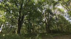 Nováček z Německa vyhrál 45 milionů v pokerovém turnaji