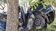 Auto vletělo do stromu, zůstaly z něj trosky. Řidička neměla žádnou šanci