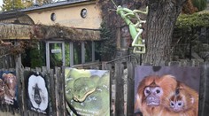 Uprchlá kobra se ve švédské zoo raději po týdnu sama vrátila do terária