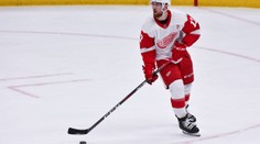 Minnesota si díky skvělé třetí třetině poradila s Arizonou, Hronek asistoval