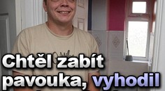 Chtěl zabít pavouka, vyhodil se do vzduchu