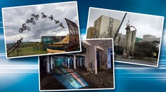Nejlepší fotky roku 2017: Tygřata, nahá výstava i salto na motorce