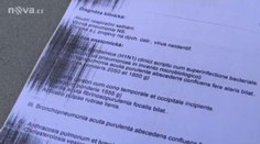 Trestní oznámení kvůli prasečí chřipce