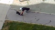 Policista zastřelil psa, který se zakousl do majitele. VIDEO