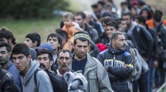Česká policie zadržela za deset měsíců 7 697 ilegálních migrantů!