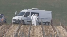 Přepadení na dálnici: 15 mužů ukradlo šperky za čtvrt miliardy!