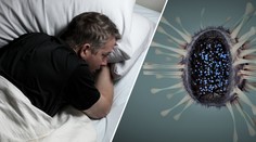 Jsme na pokraji smrtící epidemie, varují zdravotníci! Šíří se mor
