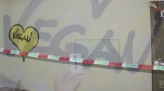 Praha trpí pod náporem vandalů. Posprejovali další historické památky