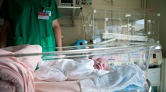 V Česku se narodilo první dítě z transplantované dělohy, je to kluk!