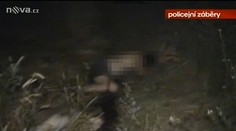 Bezdomovce z Modřan ubila mladá dvojice větvemi