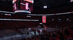 Fanouškům Capitals měli zabavit ukrajinské vlajky, ruské na zápasu byly