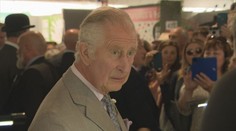 Skandál pro prince Charlese. Měl dostat peníze od rodiny Usámy bin Ládina
