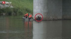 Zoufalý muž stál v Pardubicích na mostě a řval: Zavolejte Novu! Pak skočil…