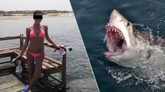 Turistka Iva o útoku žraloka: Jsou tu atrakcí, bezpečí nikdo neřeší!