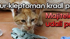 Kocour-kleptoman kradl prádlo. Majitelé ho udali policii