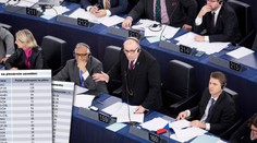 Češi v Europarlamentu: Takhle pracují za statisíce! STATISTIKA