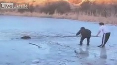 VIDEODRAMA! Zachraňovali štěně z ledové řeky. Probořili se za ním...