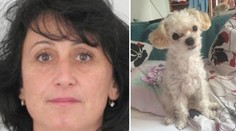 Policie našla tělo ženy. Zřejmě jde o pohřešovanou Jitku (48)