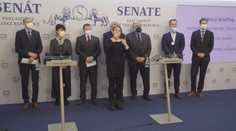 Senátoři podají ústavní stížnost na povinné očkování. Rozděluje společnost, tvrdí