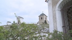 Pálavu trápí moc velký nápor návštěvníků. Mizí kvůli nim zvířata i rostliny