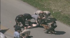Nechtěl zastavit policejní hlídce. Z auta ho za trenky vytáhl pes